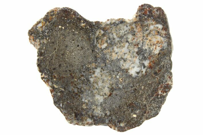 Eucrite Meteorite ( g) Slice - NWA #266170